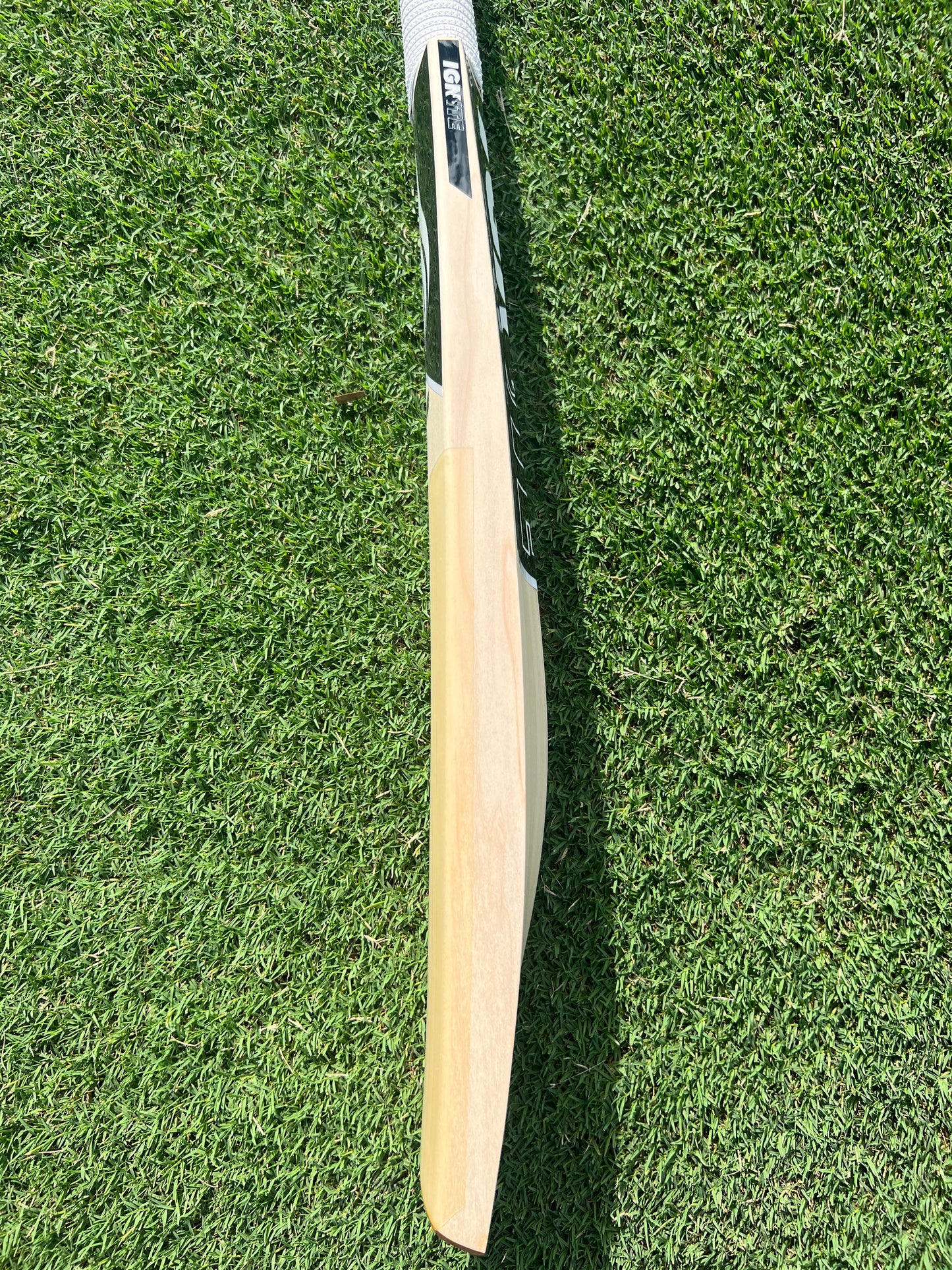 Players Grade English Willow Bat - SH #15